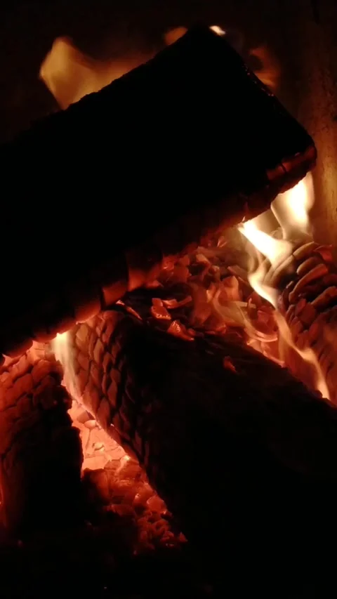 Fire in the fireplace in cold winter Stock Footage 195089839