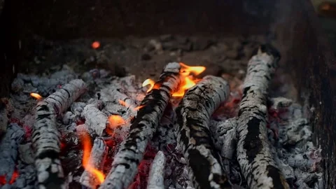 Fire in a fireplace from conflagrant wooden logs Video stock 142594888