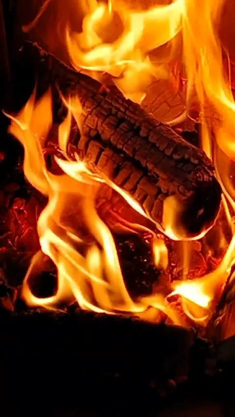 Fire in the fireplace during the day Stock Footage 308574052
