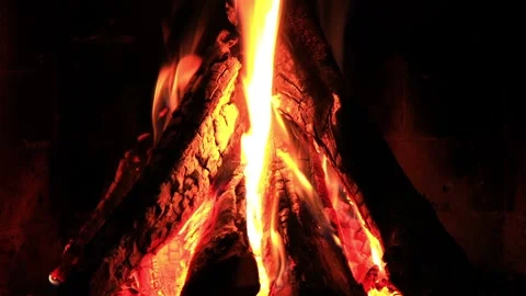 Fire in the fireplace in the evening Vídeo Stock 100587915