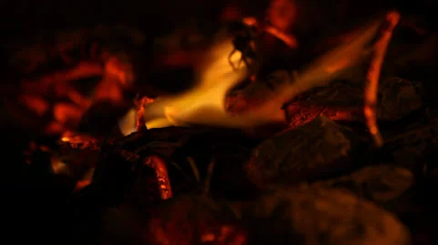 Fire in fireplace Stock Footage 30546699