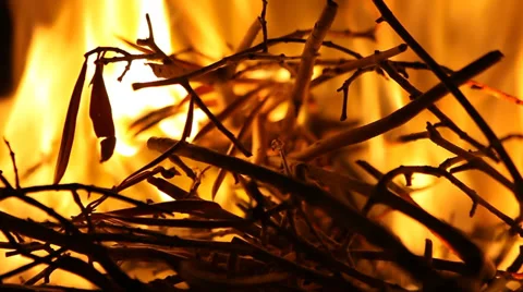 Fire in fireplace Stock Footage 30559476