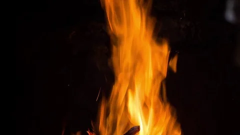 Fire in fireplace Stock Footage 77433622