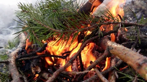 Fire in the fireplace Stock Footage 160053530