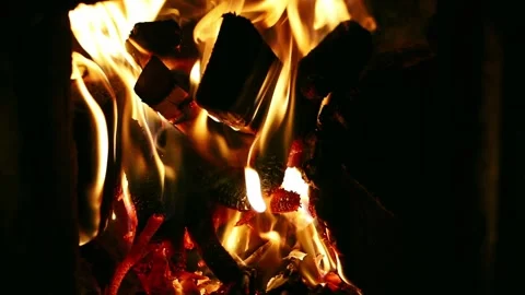 Fire in the fireplace Stock Footage 220100855