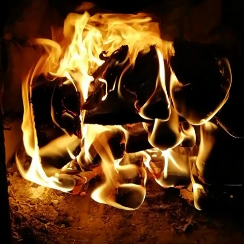 Fire in the fireplace Stock Footage 243827535
