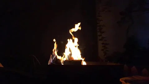 Fire in the fireplace	 Stock Footage 282742787