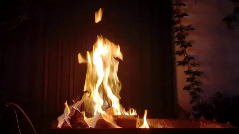 Fire in the fireplace	 Stock Footage 282742788