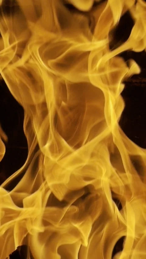 Fire at the fireplace Stock Footage 321842385