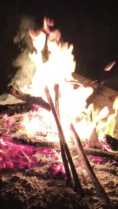 Fire in the fireplace Stock Footage 340004389