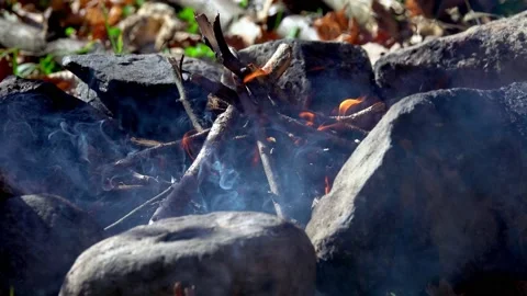 Fire in a fireplace, outdoors Vídeos de archivo 163914222