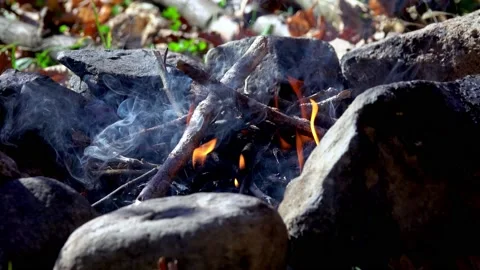 Fire in a fireplace, outdoors Stock Footage 163914230