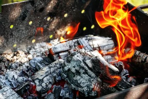 Fire in the fireplace 写真素材