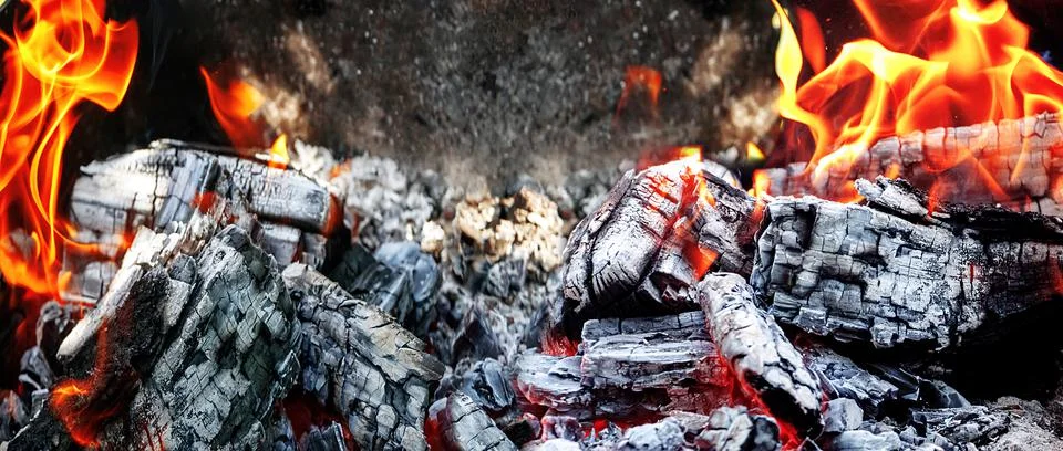 Fire in the fireplace Stock Photos