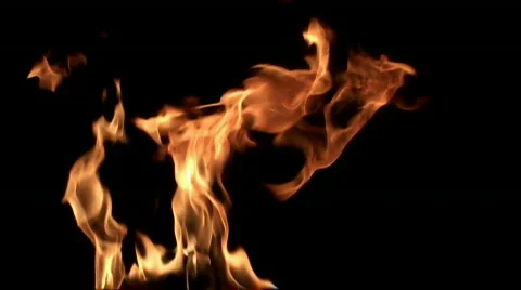 Fire flame / 8х slow motion Stock Footage 856710