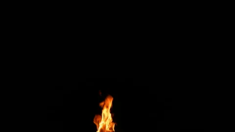 Fire Flame Against Black Background A Continuous Sequence Pt2 of 2 Stock Footage 242115803