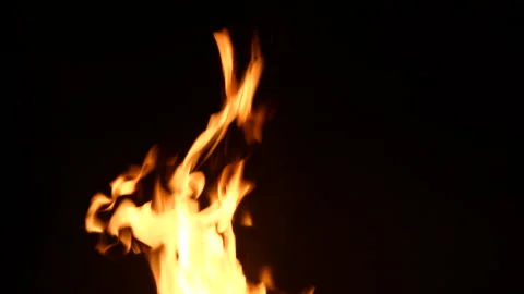 Fire Flame Against Black Background D Continuous Sequence Pt4 of 4 Stock Footage 242121192