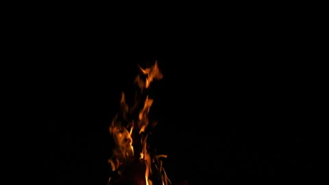 Fire Flame Against Black Background F Continuous Sequence Pt1 of 13 Stock Footage 242123494
