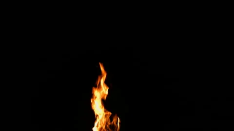 Fire Flame Against Black Background B Continuous Sequence Pt2 of 4 Stock Footage 242130294
