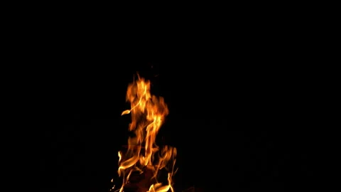 Fire Flame Against Black Background F Continuous Sequence Pt2 of 13 Stock Footage 242135177