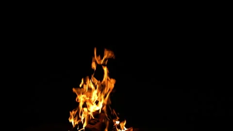 Fire Flame Against Black Background F Continuous Sequence Pt4 of 13 Stock Footage 242140699