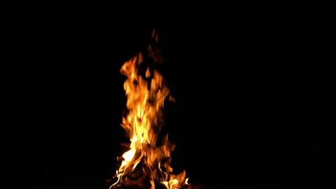 Fire Flame Against Black Background F Continuous Sequence Pt5 of 13 Stock Footage 242141965
