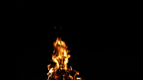 Fire Flame Against Black Background F Continuous Sequence Pt6 of 13 Stock Footage 242143560