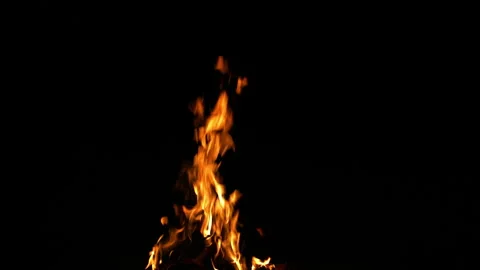 Fire Flame Against Black Background F Continuous Sequence Pt9 of 13 Video stock 242150596