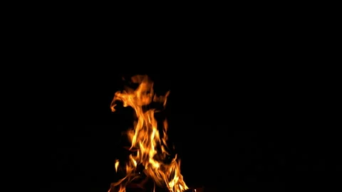 Fire Flame Against Black Background F Continuous Sequence Pt10 of 13 Stock Footage 242154392