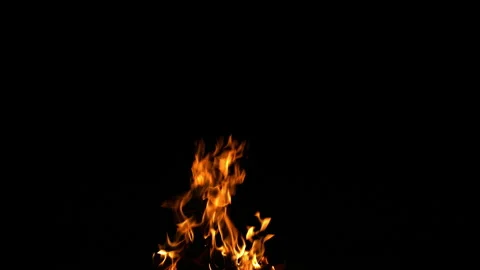 Fire Flame Against Black Background F Continuous Sequence Pt11 of 13 Stock Footage 242157302