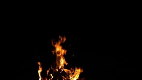 Fire Flame Against Black Background F Continuous Sequence Pt13 of 13 Stock Footage 242160643