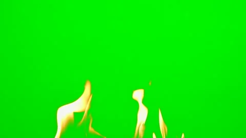 Fire flame and smoke burning and glowing on green screen background Stock Footage 247201008