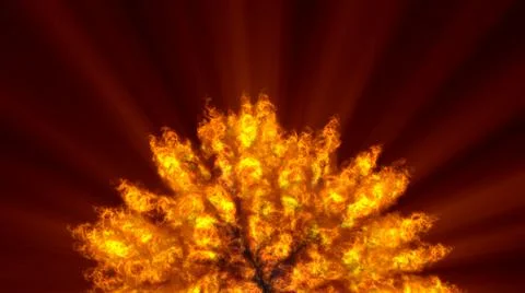 Fire flame ball explosion in space, illustration Stock Illustration