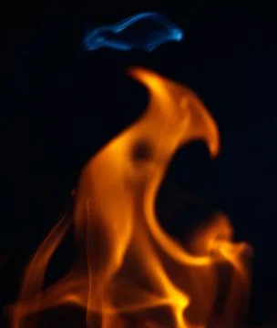 Fire flame on black background Stock Photos