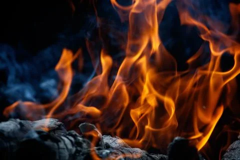 Fire flame on black background Stock Photos
