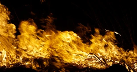 Fire flame burn element with alpha channel 4K Stock-Footage 89946097
