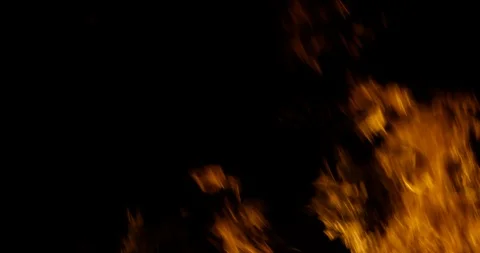 Fire flame burn element with alpha channel 4K Stock Footage 89946784