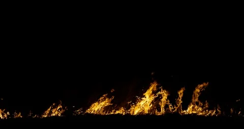 Fire flame burn element with alpha channel 4K Stock Footage 89947342