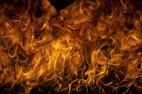 Fire flame. Burn lights on a black background. Stock Photos