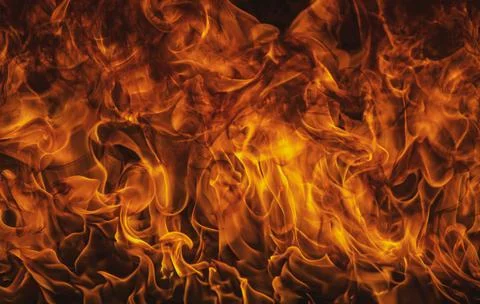 Fire flame. Burn lights on a black background. Stock Photos