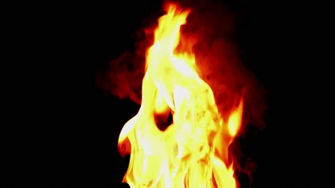 Fire flame burning and glowing slow motion on blackg screen background Stock Footage 231548908