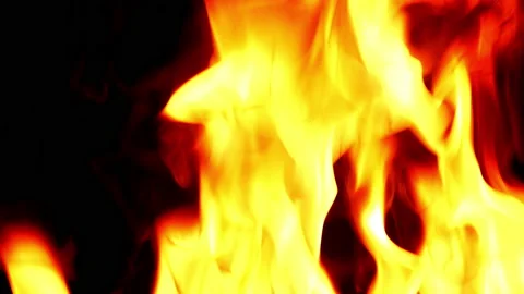 Fire flame burning and glowing on blackg screen background Stock Footage 231548928