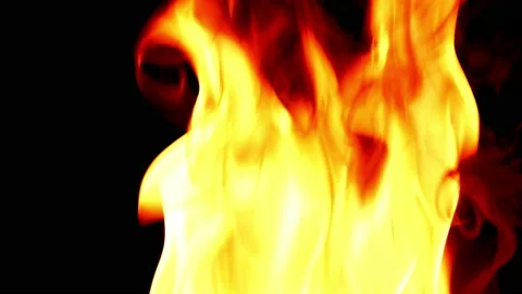 Fire flame burning and glowing slow motion on blackg screen background Video stock 231550483