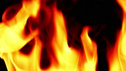 Fire flame burning and glowing slow motion on blackg screen background Video stock 231552288