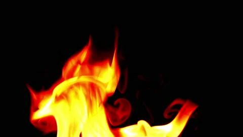 Fire flame burning and glowing slow motion on blackg screen background Video stock 231555310