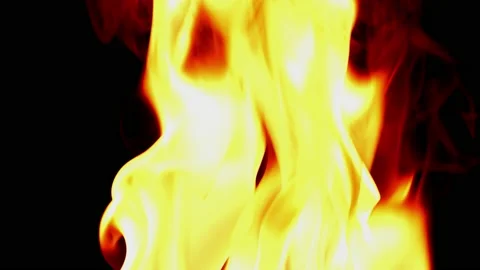 Fire flame burning and glowing slow motion on blackg screen background Vídeo Stock 231555352