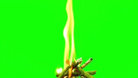 Fire flame burning and glowing on green screen background Vídeo Stock 235554385