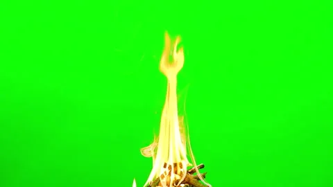 Fire flame burning and glowing on green screen background Stock Footage 235554960
