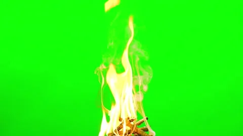 Fire flame burning and glowing on green screen background Vídeo Stock 235554989