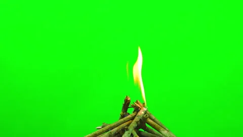 Fire flame burning and glowing on green screen background Stock-Footage 235555982